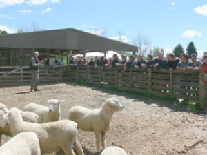 Fieldays