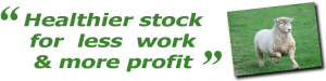 Healthier Stock for less work and more profit